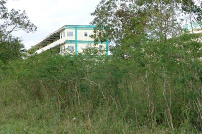 El lamento de la tierra continúa