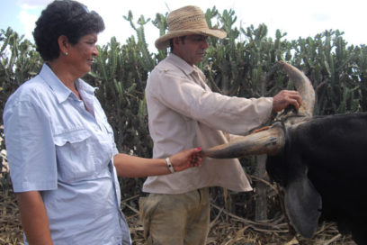 Mami, felicidades