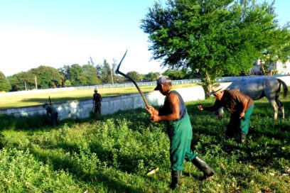 Adelantarse al Aedes en los centros laborales