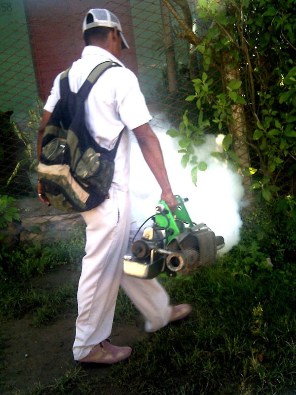 La fumigación es una costosa alternativa. Foto: Jorge Pérez Cruz