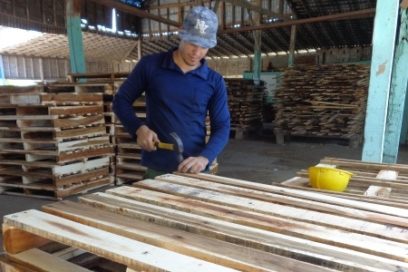 Celebran Día del Trabajador Agroforestal