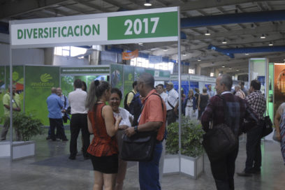 Cuba: curva ascendente del azúcar es sostenible