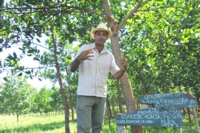 Crece índice de boscosidad de Las Tunas