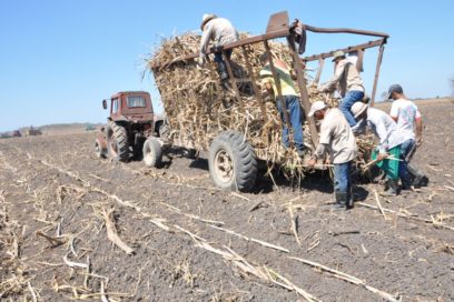 Lograr eficiencia frente a las dificultades