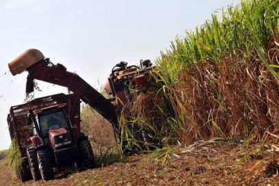 Cuba ofrece oportunidades de negocios en industria azucarera