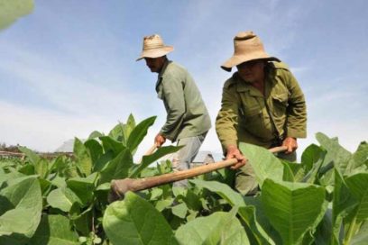 Campesinos repudian política anticubana de Donald Trump