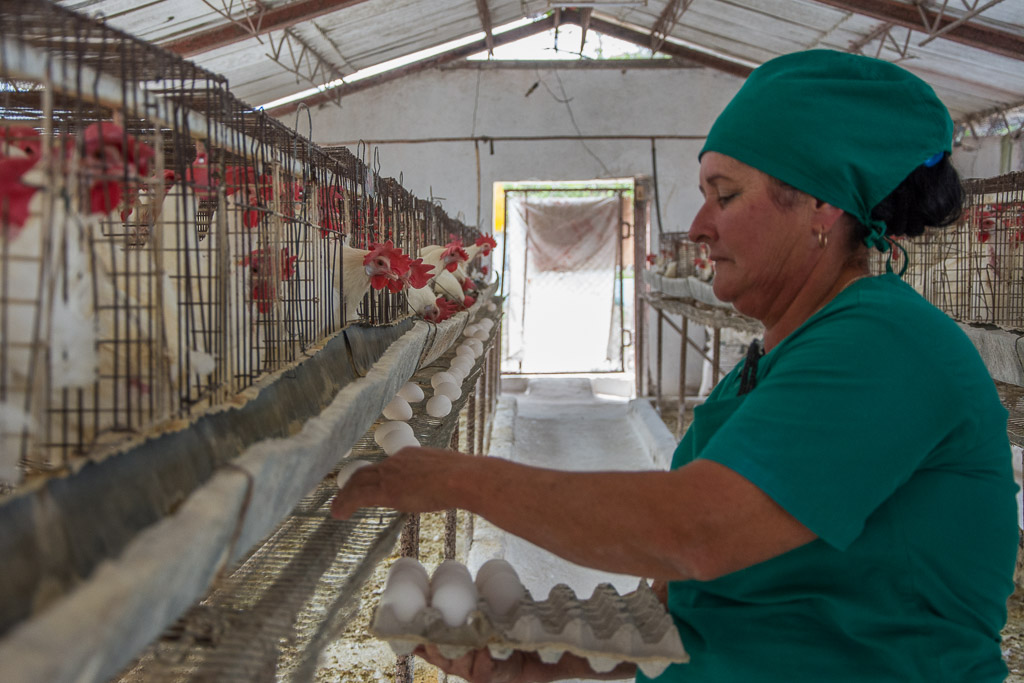 Cuando no hay dinero ni para pagar o comprar insumos, muchas entidades esperan la anhelada ayuda bancaria. Así aumentan las cuentas por cobrar y pagar, por lo que esta no puede ser la única alternativa. Foto: Leandro Armando Pérez Pérez