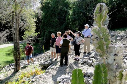 Logran en Granma mejores resultados ambientales