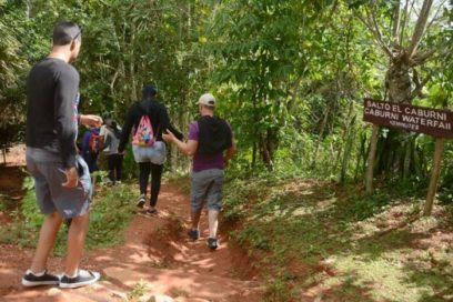 Destacan aportes de Fidel en la defensa del medio ambiente