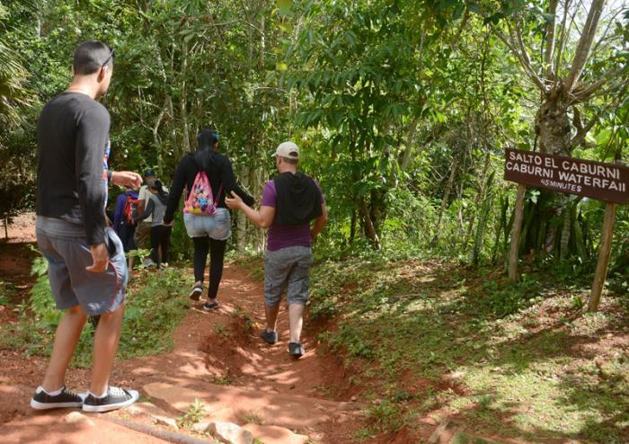 Destacan aportes de Fidel en la defensa del medio ambiente