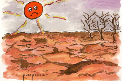 Pioneros de Santiago de Cuba contra la desertificación y la sequía