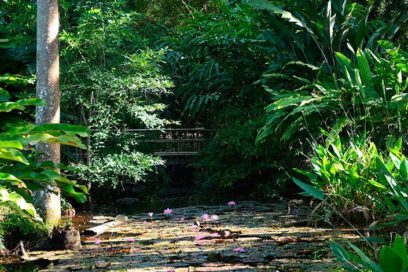 Avanza Villa Clara en acciones medioambientales
