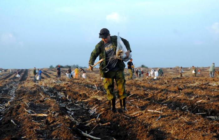 Photo: Juan Antonio Borrego