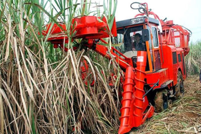 Chinese-Cuban Sugarcane Harvester Works Successfully