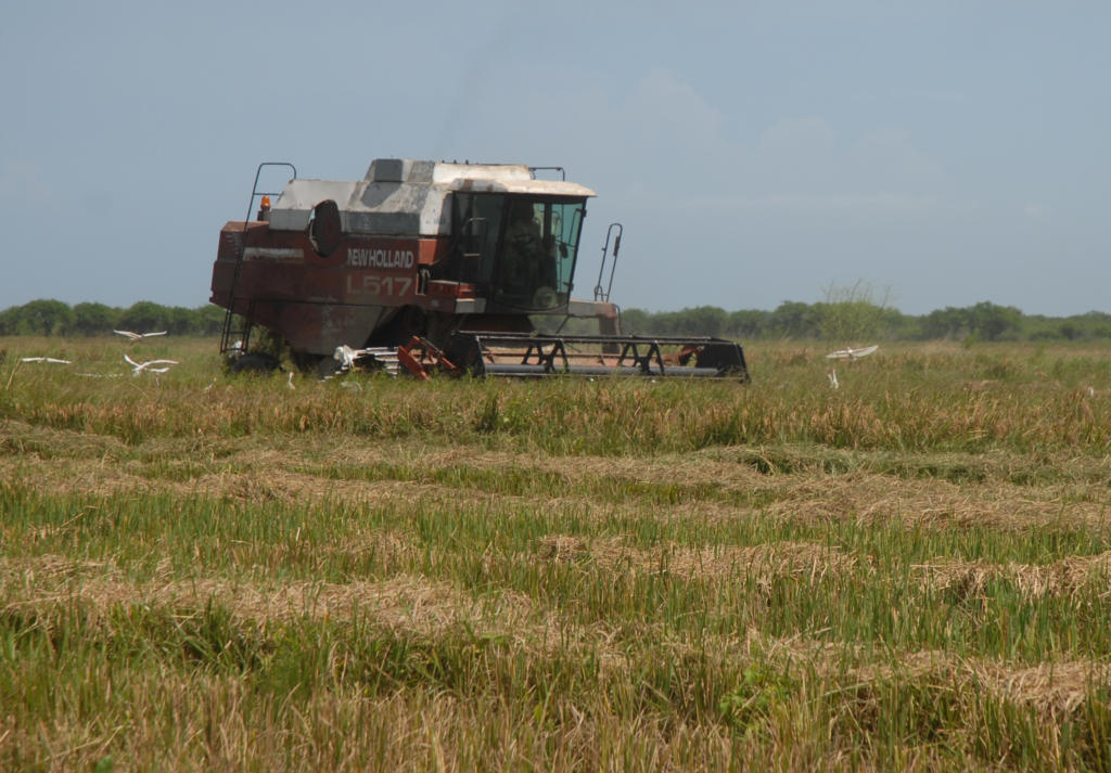 Pinar del Rio en 26. Foto: Agustín Borrego Torres