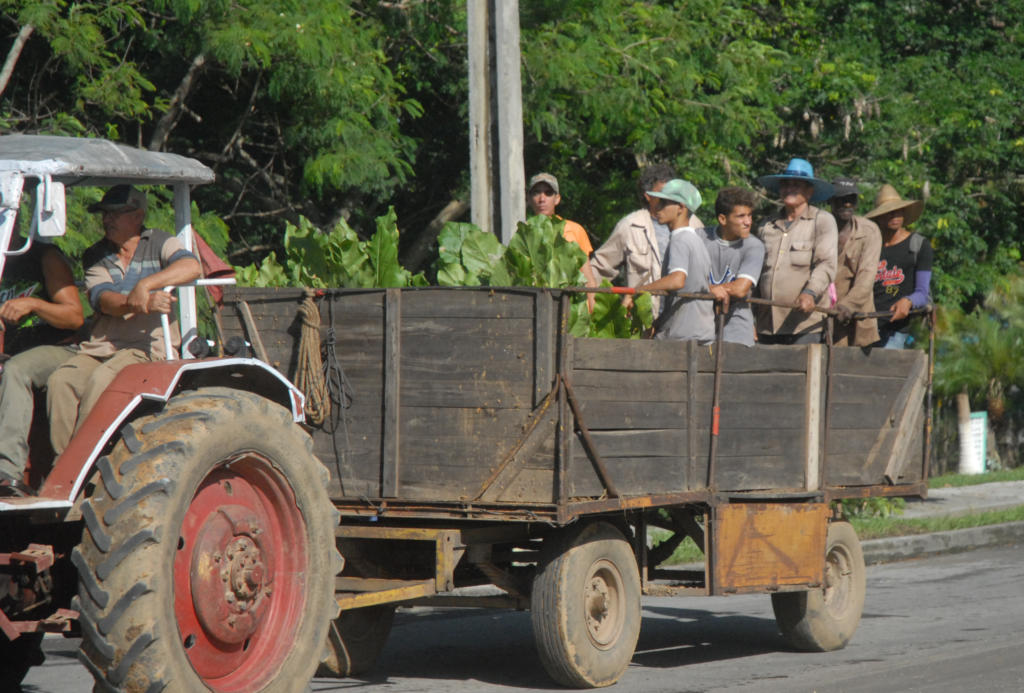 Pinar del Rio en 26. Foto: Agustín Borrego Torres
