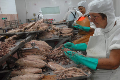 Mar, salitre, pesca, y obreros consagrados