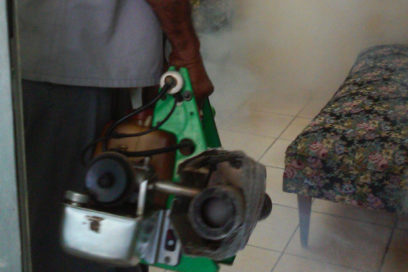 Aseguran en Granma bajo riesgo de enfermedades por infestación este verano