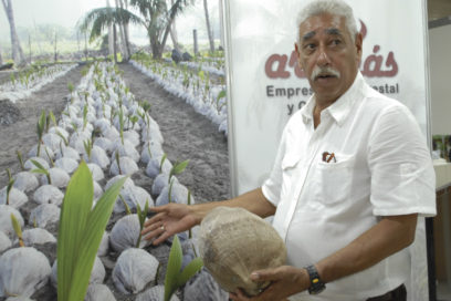 Cacao y coco: ¡sabor a Baracoa!