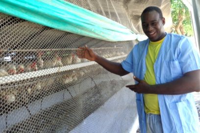 Guardián de la salud animal