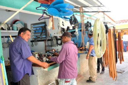 Perfeccionamiento del trabajo por cuenta propia. ¿En la sala de observaciones?