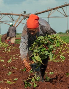 Foto: Otilio Rivero Delgado