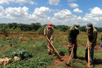 Tierras estatales ociosas: aplicarán nuevas modificaciones para el usufructo