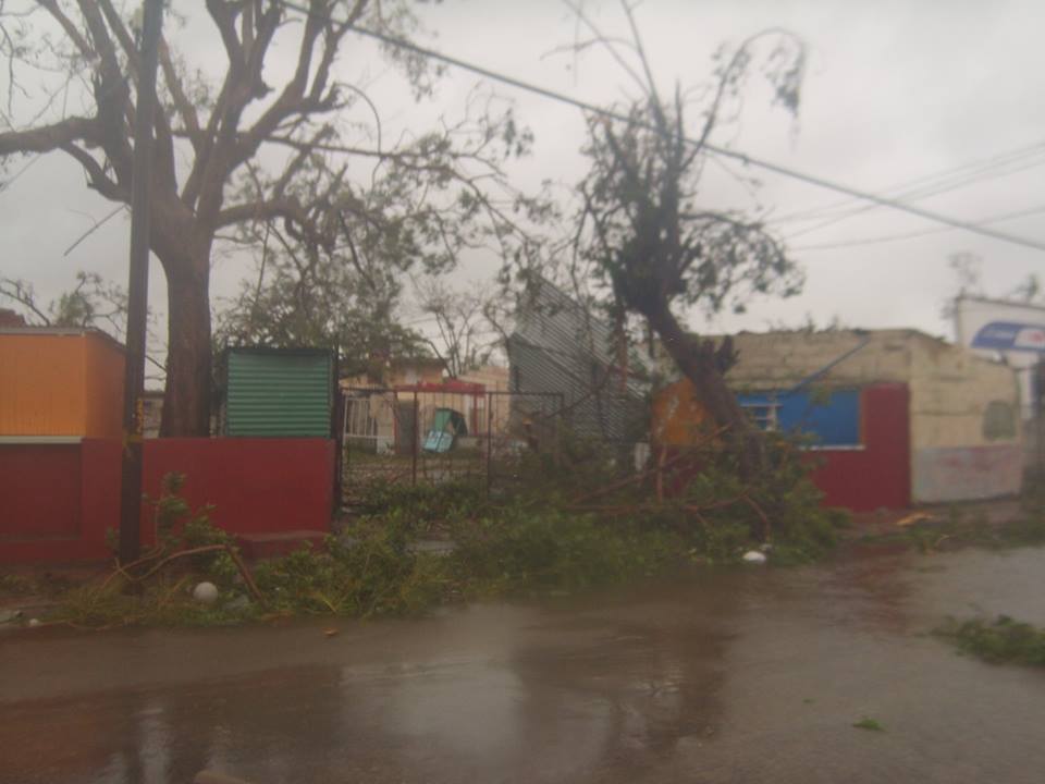 Foto: Tomada de sinrodeo-leoipa.blogspot.com