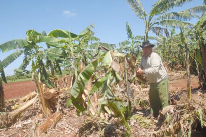 Devolver la vitalidad a la agricultura