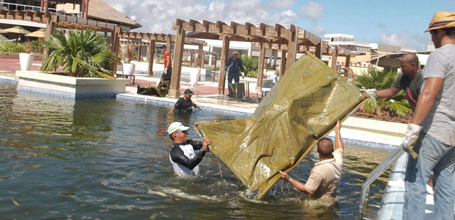En cada instalación de la cayería se rescata lo que el viento se llevó. Foto: José Luis Martínez Alejo