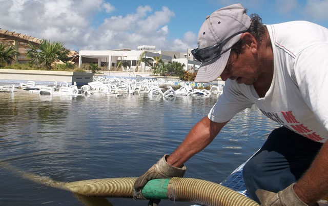 Muchos hombres como Buchillón protegen el medio ambiente. Foto: José Luis Martínez Alejo