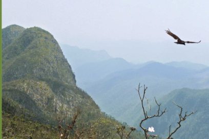 La utopía de Daniel Díaz Mantilla