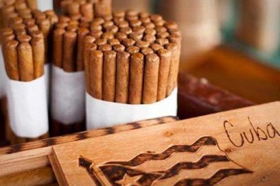Considerables pérdidas en sector tabacalero cubano a causa del bloqueo