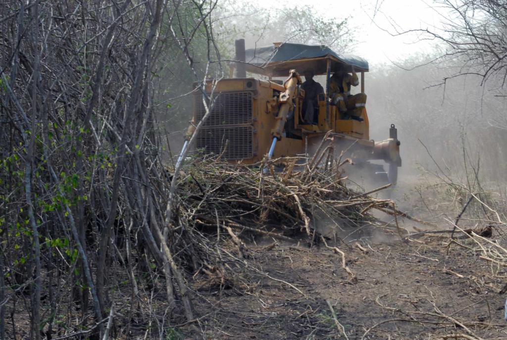 Aumentar las tierras cultivables a través de la eliminación de marabú, sobre todo en áreas cercanas a abastos de agua, es tarea primordial para trabajadores del SNTAFT. Foto: Orlando Durán Hernández