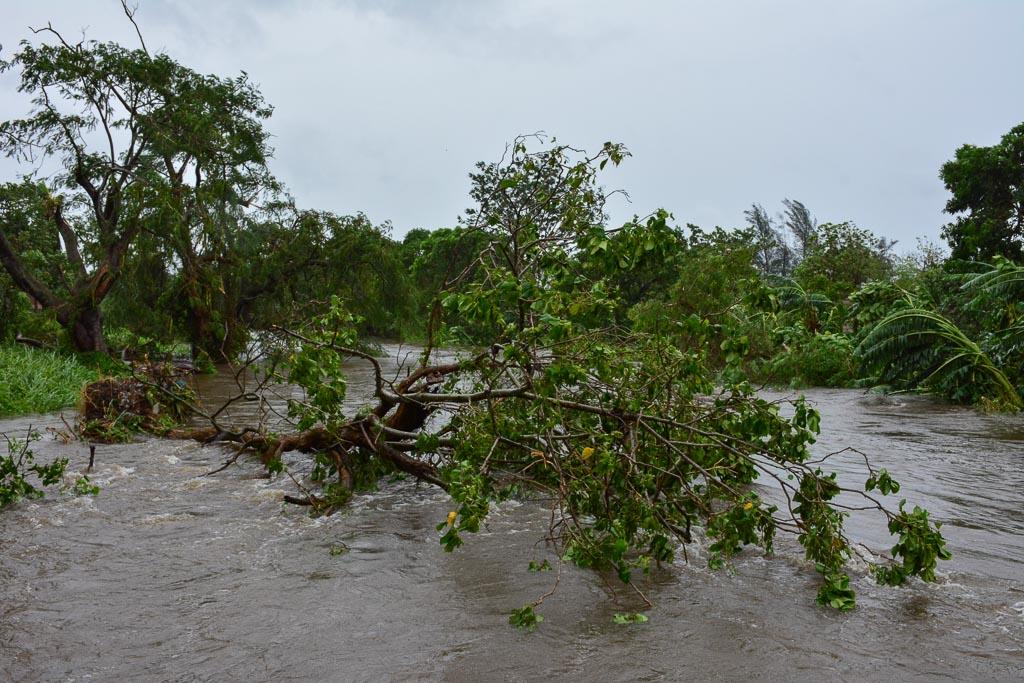 Foto: Orlando Durán Hernández