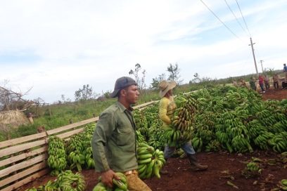 Villa Clara se recompone