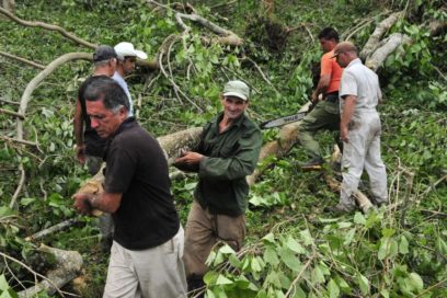 Recuperar las capacidades productivas en el menor plazo posible