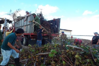 Colectivos obreros y cederistas celebran con trabajo voluntario