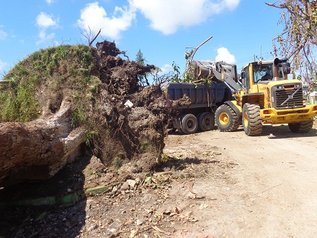 Las labores son intensas y colaboran brigadas de varias provincias en especial santiago de Cuba. Foto: Lourdes Rey Veitia
