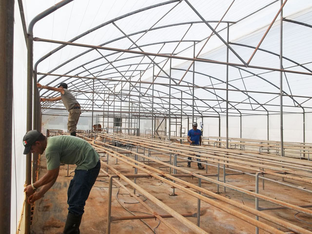 Afloran después de la tormenta nuevas casas para semilleros de cultivos protegidos en Ceballos. Foto: José Luis Martínez Alejo