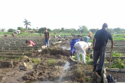 En Sancti Spíritus se multiplican esfuerzos