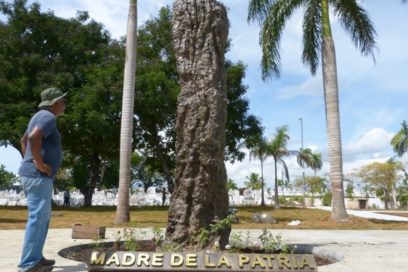Mariana madre, raíz, ceiba, escultura…