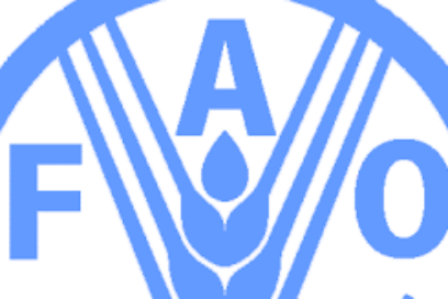 Reconoce la FAO desafíos alimentarios
