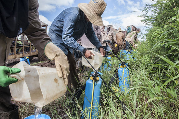 La elevada productividad destaca en el colectivo de la UBPC Vietnam. Foto: René Pérez Massola