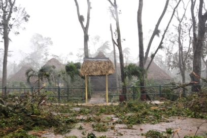 Sancti Spíritus: Más leña del árbol caído