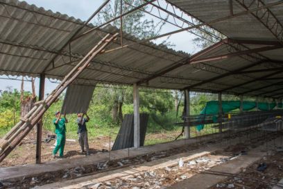 Día del Trabajador Agropecuario: De sol a sol, en todas las temporadas