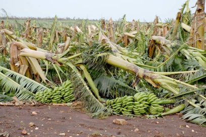 Reconoce Asamblea Provincial del Poder Popular severas pérdidas a la economía de Villa Clara