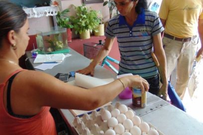 Destaca movimiento sindical acciones de trabajadores por reducir efectos de Irma