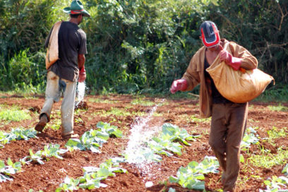 Un cierre de año productivo, de participación y compromisos