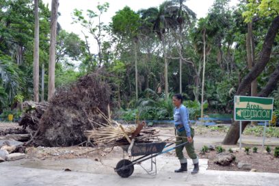 La noche que Irma visitó el zoológico